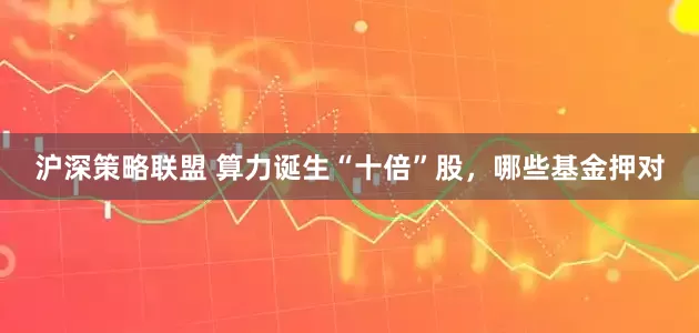 沪深策略联盟 算力诞生“十倍”股，哪些基金押对