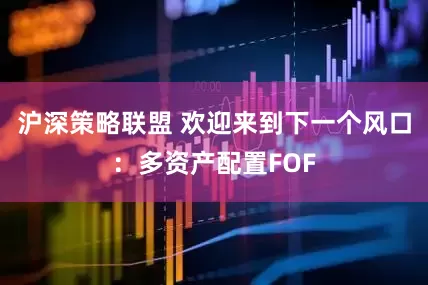 沪深策略联盟 欢迎来到下一个风口：多资产配置FOF