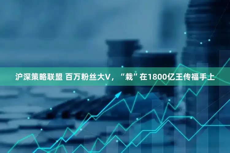 沪深策略联盟 百万粉丝大V，“栽”在1800亿王传福手上